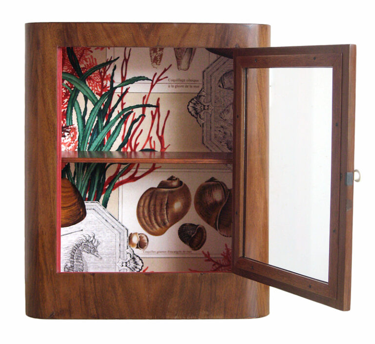 Petite vitrine murale en acajou restaurée avec porte vitrée ouverte